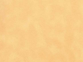 Leather Upholstery 南亞呼吸系列 皮革 沙發皮革 3843 橙黃雲彩
